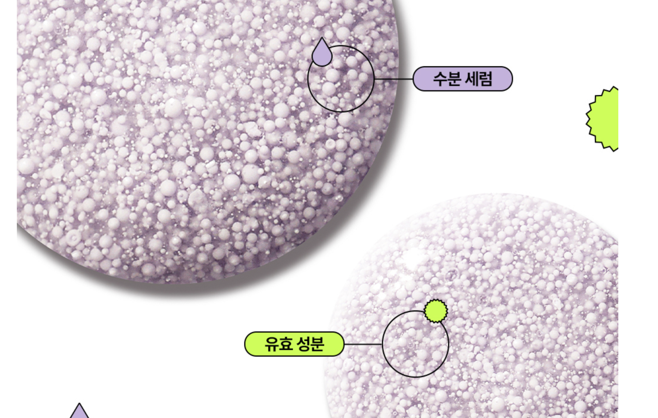 에딧비_선데이톤업
